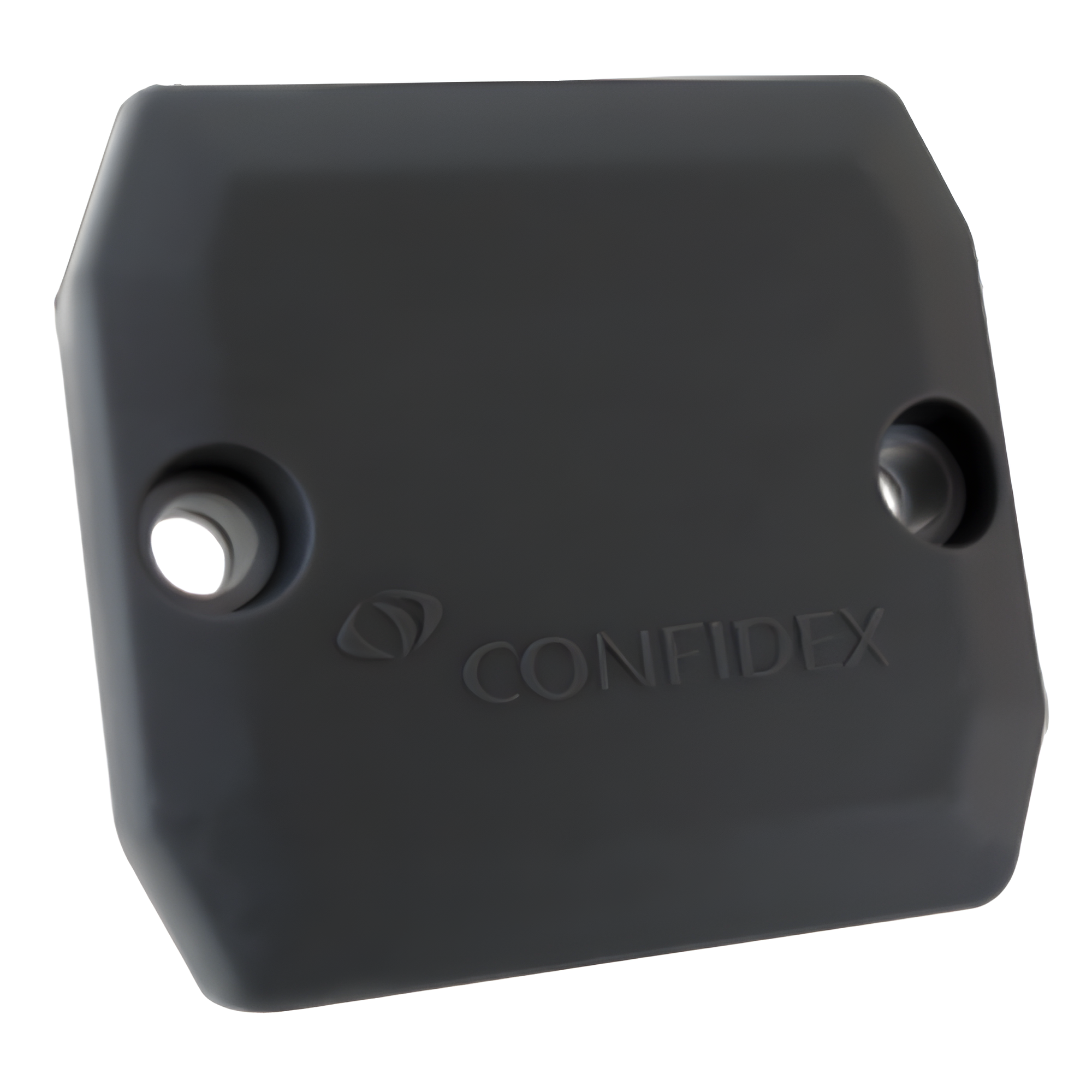 Zebra Ironside Classic Hard Tag 10041052