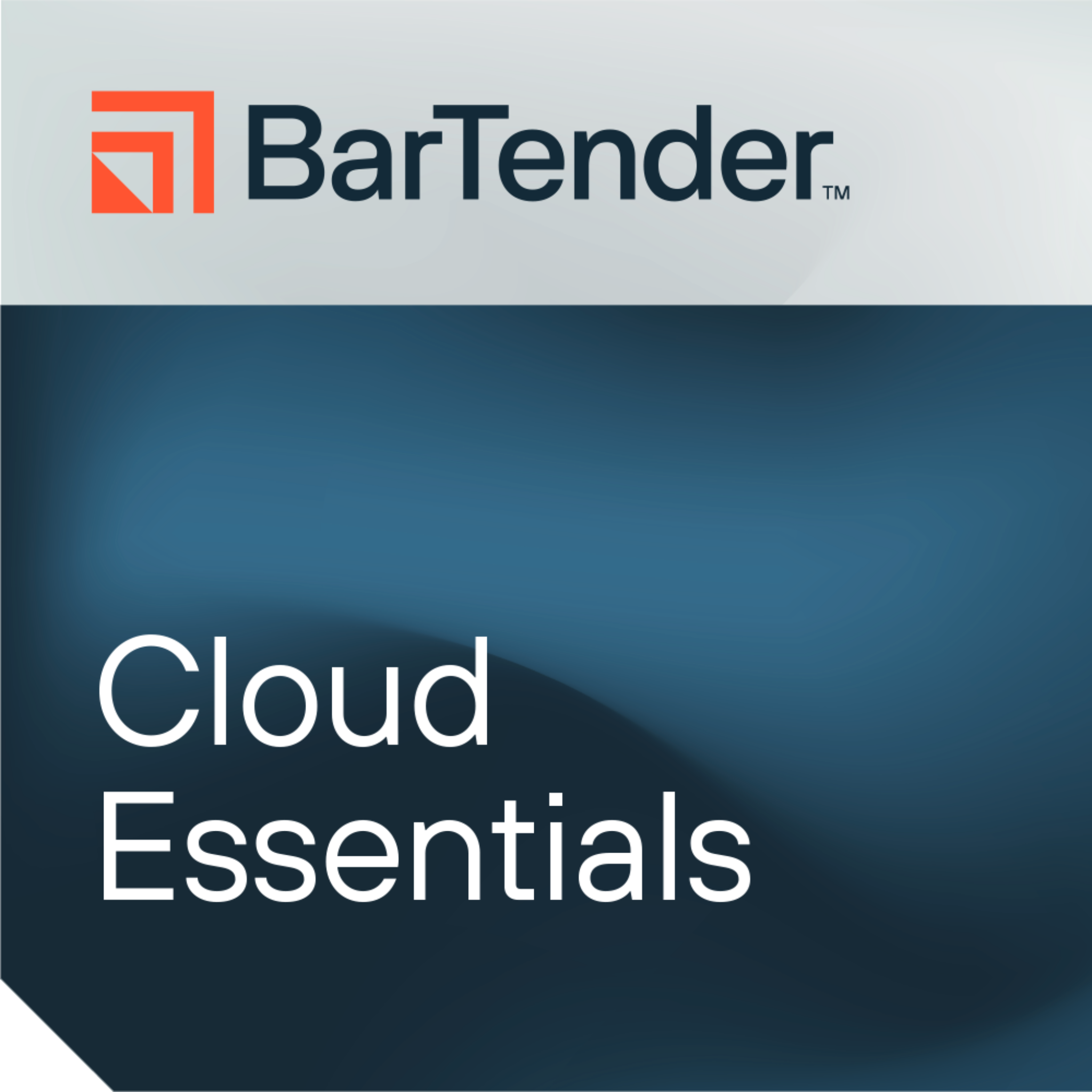 BarTender Cloud Essentials [Monthly, Essential MSA] BTC-ESS-PRT-SUB
