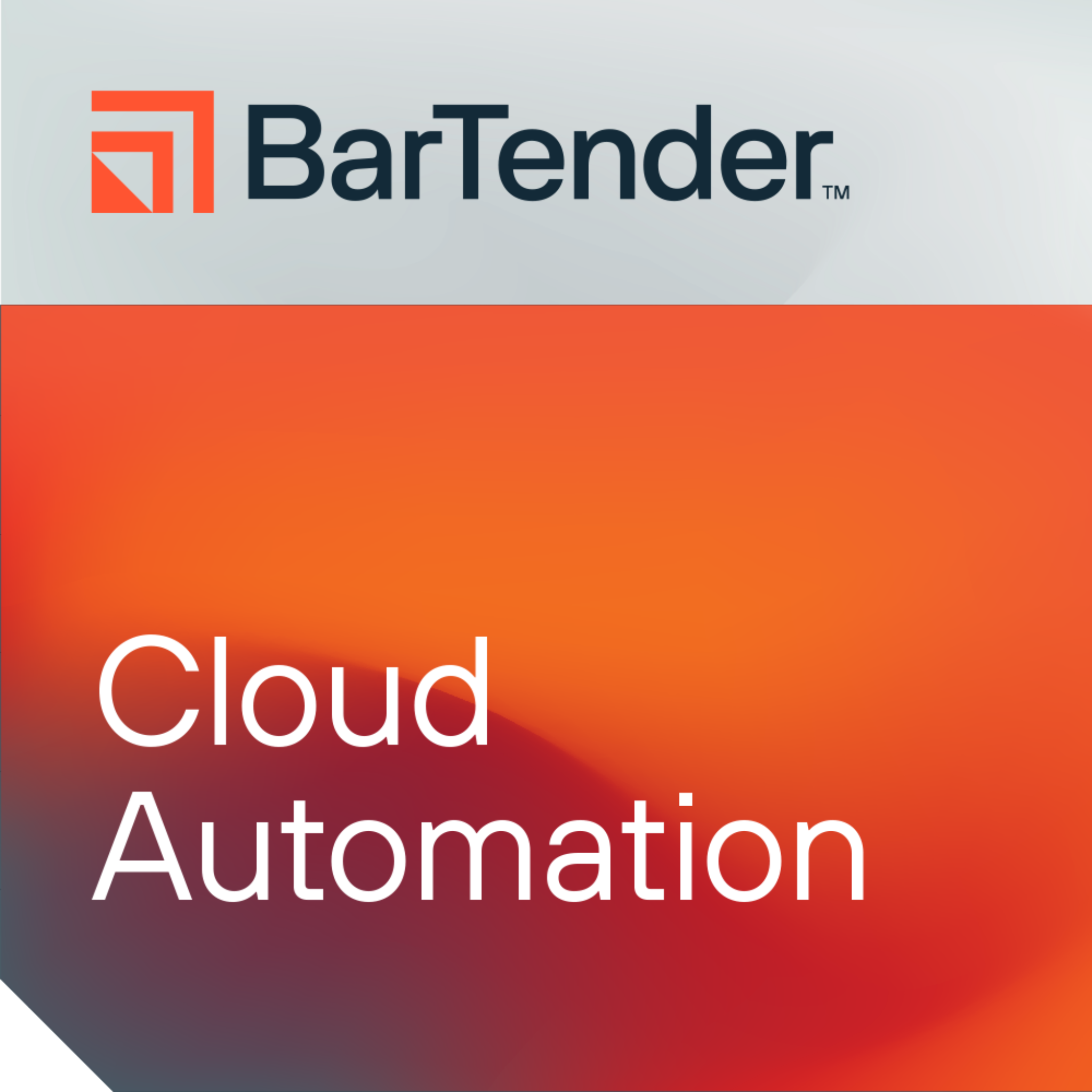 BarTender Cloud Automation [Monthly, Standard MSA] BTC-AUT-PRT-SUB