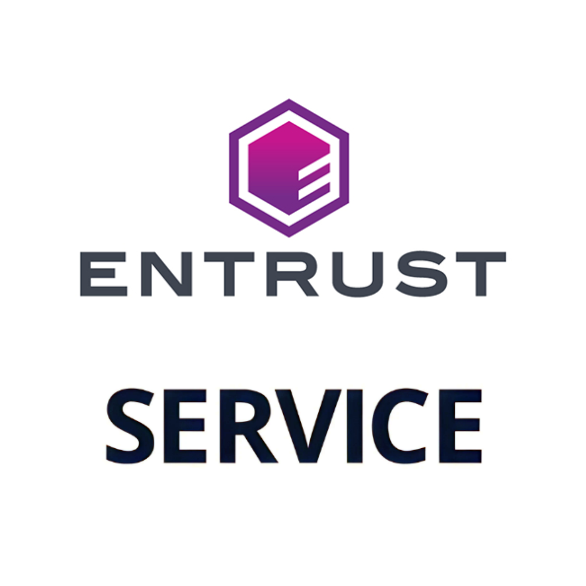 Entrust Standard Depot Contract - DS2 [1 Year] STD 12M DS2