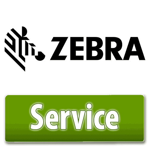 Zebra Service CAC-P100-300