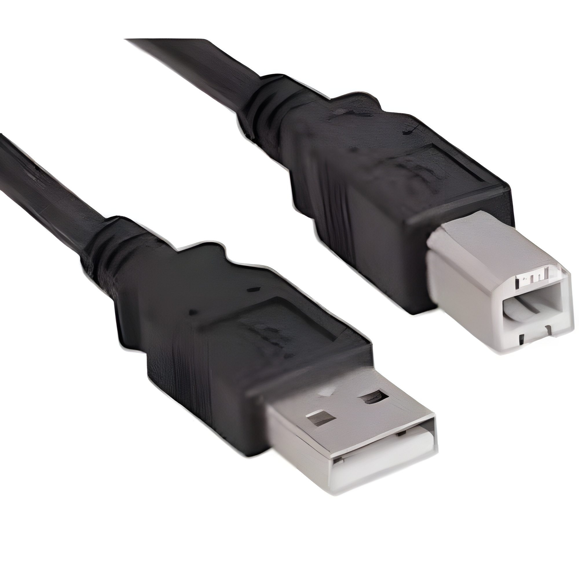 Citizen USB Cable USB-AB-06-BK