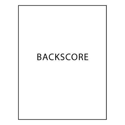 BarcodeFactory 8.5 x 14 Laser Label Sheet - Backscore BAR-RL-85-14-1
