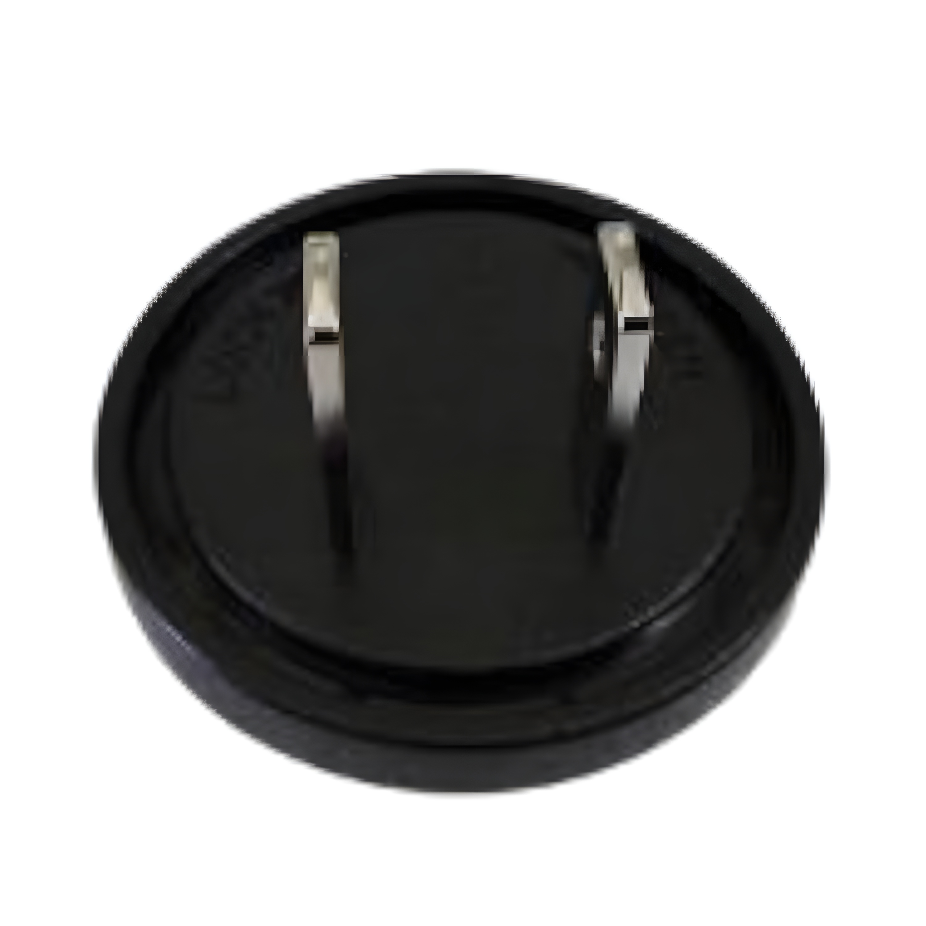 Bluebird Adapter Plug (North America) 602020028