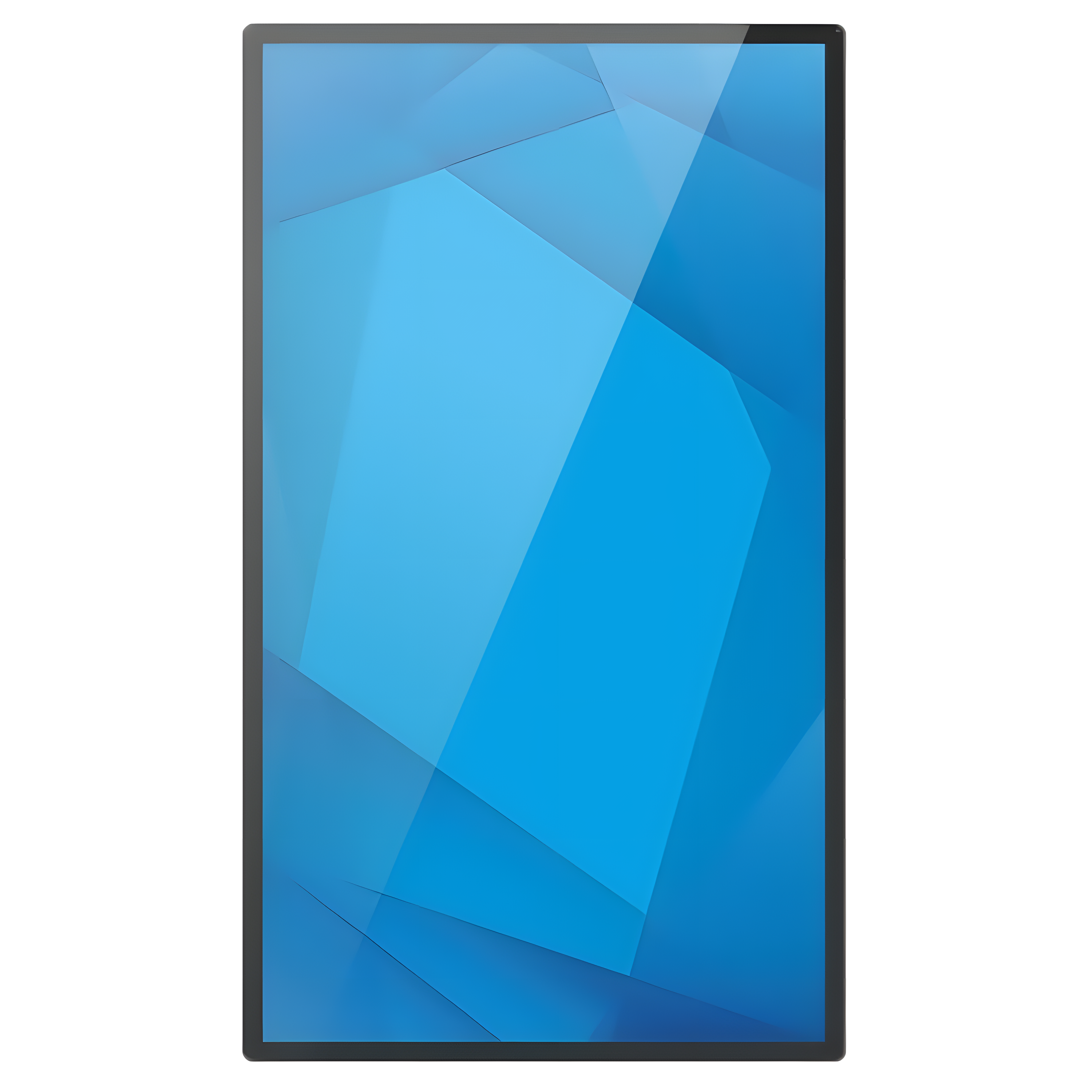 Elo 6554L 65" 4K Touchscreen Signage E104912