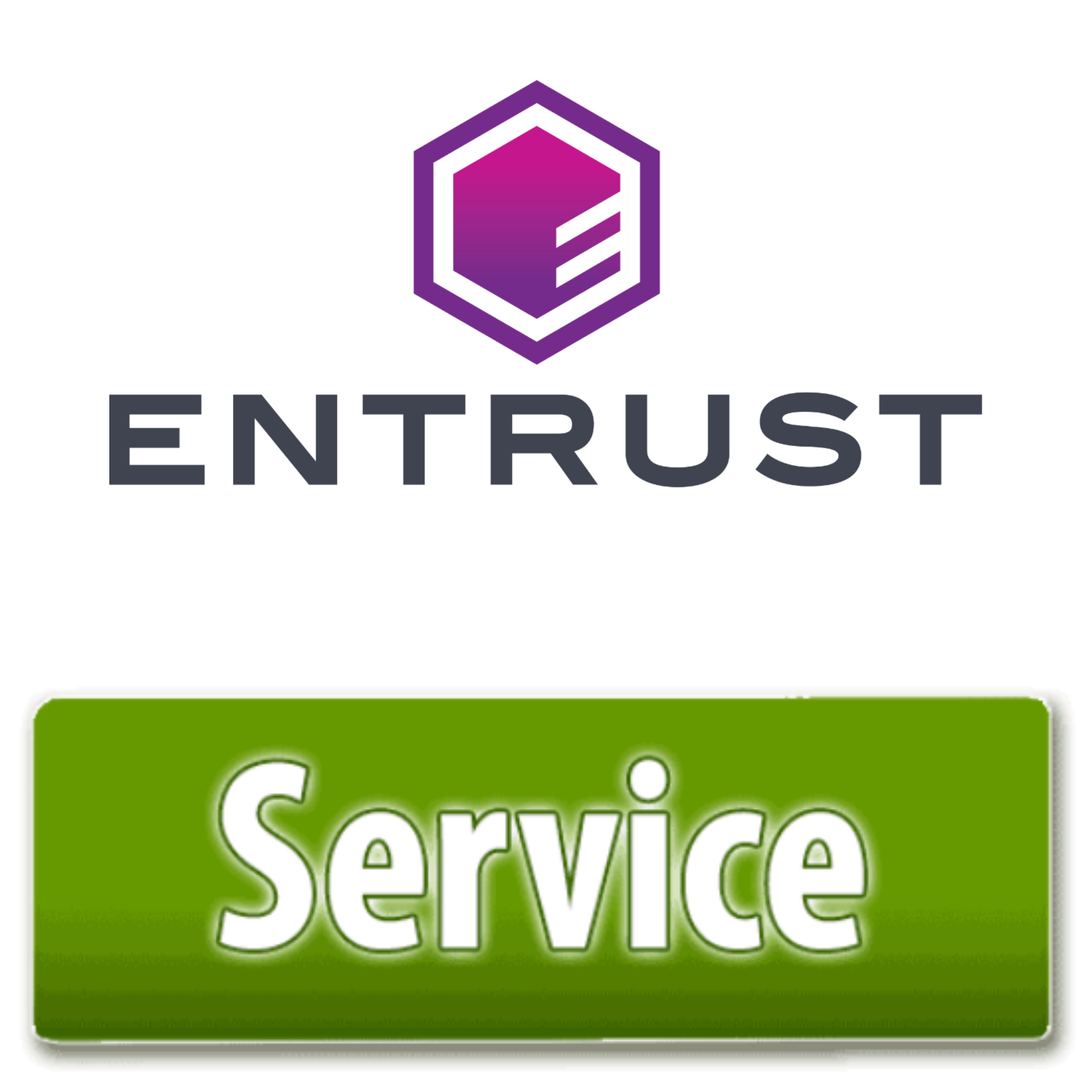 Entrust Standard Depot Contract - DS2 [1 Year] STD 12M DS2