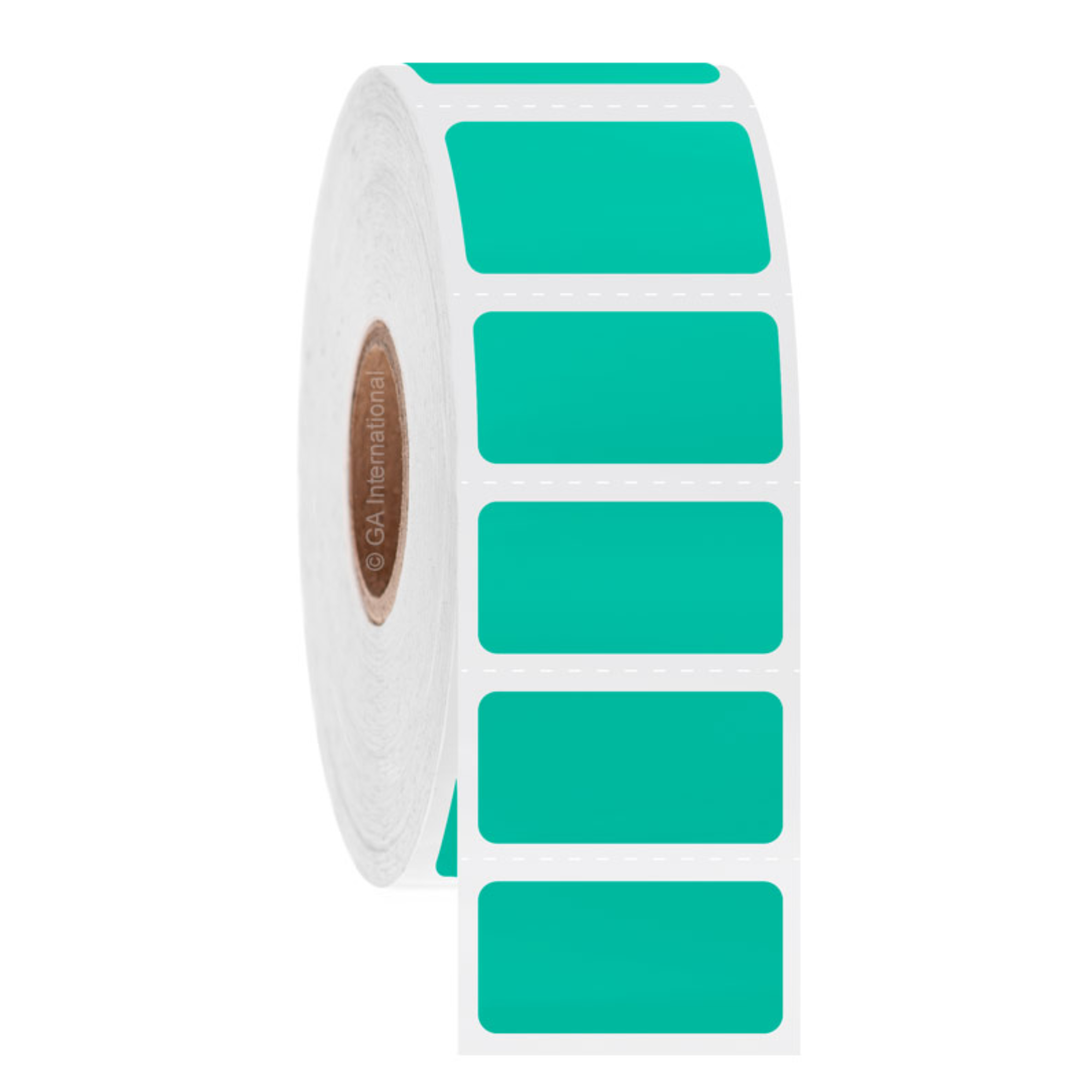 LabTAG 1" x 0.5" Deep-Freeze TT Labels (Green Seafoam) FJT-7SBC1-1GS