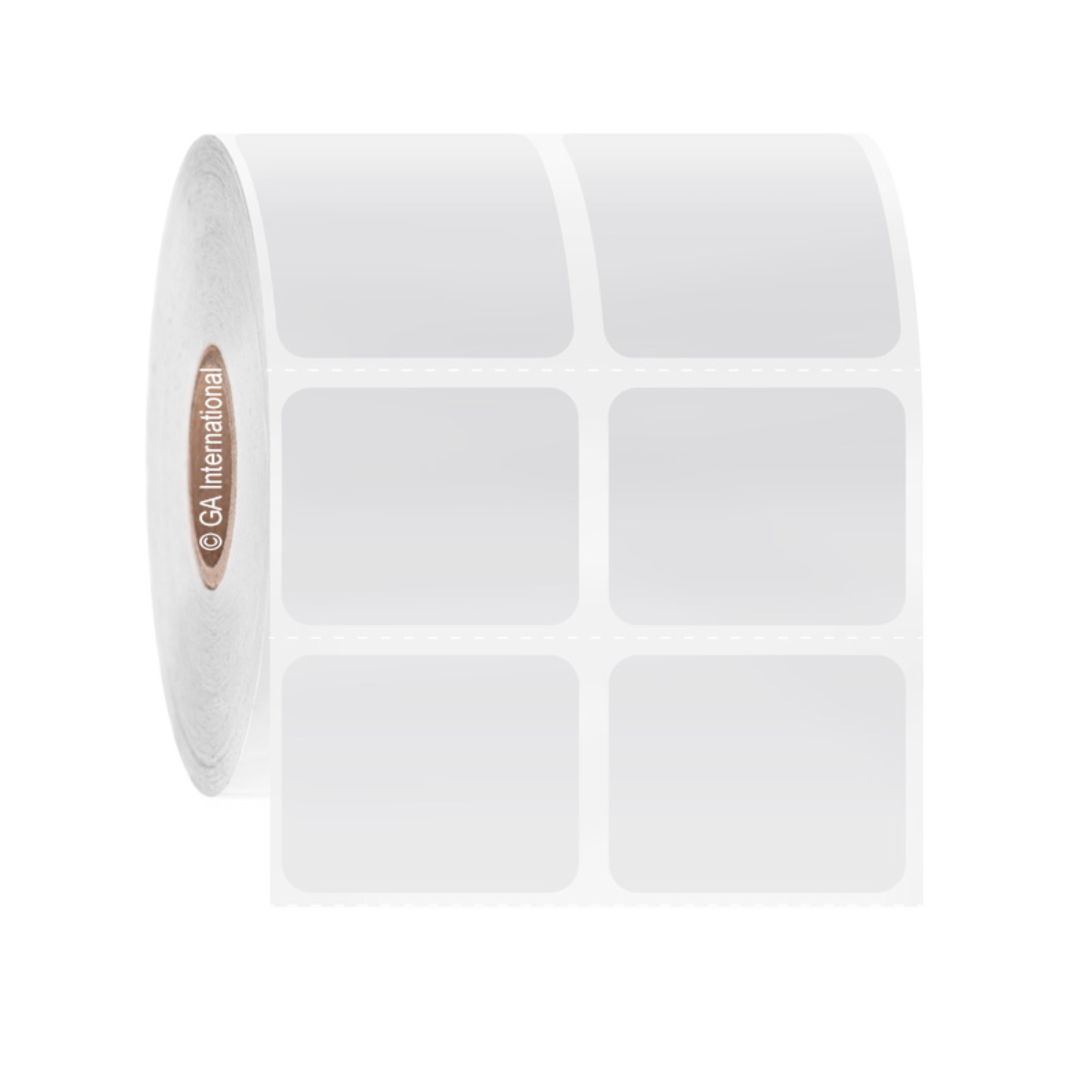 LabTAG 1.25" x 1" TT Paper Labels (White) GPB-256C1-2WH