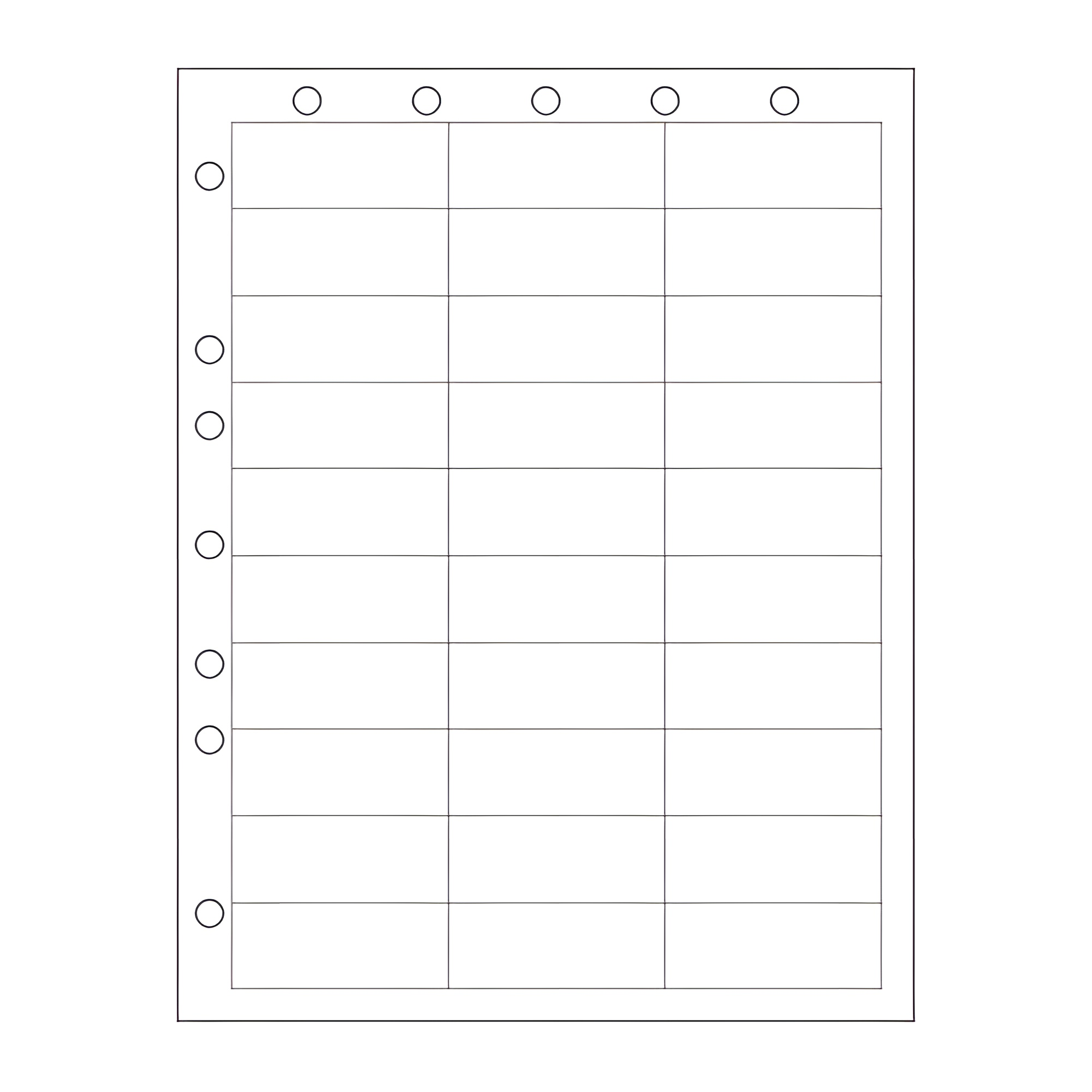 Zebra 2.5x1  Laser Label [3up, Punch Hole] I-V30