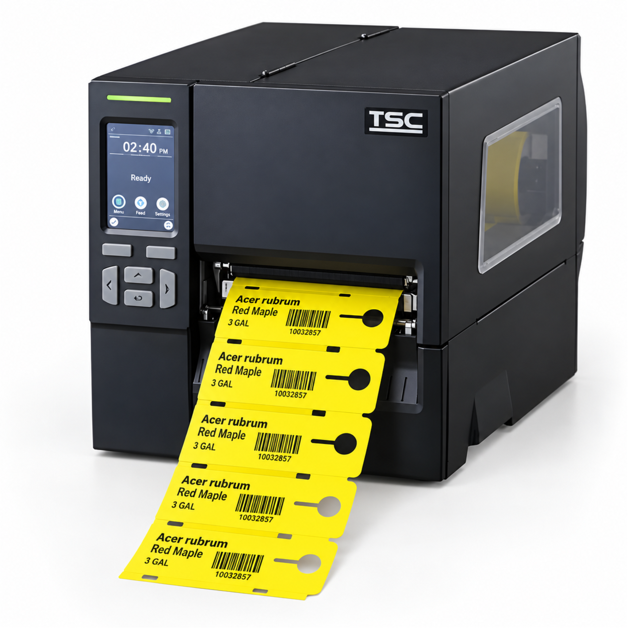 TSC MB241T TT Printer [203dpi, Ethernet] MB241T-A001-0201
