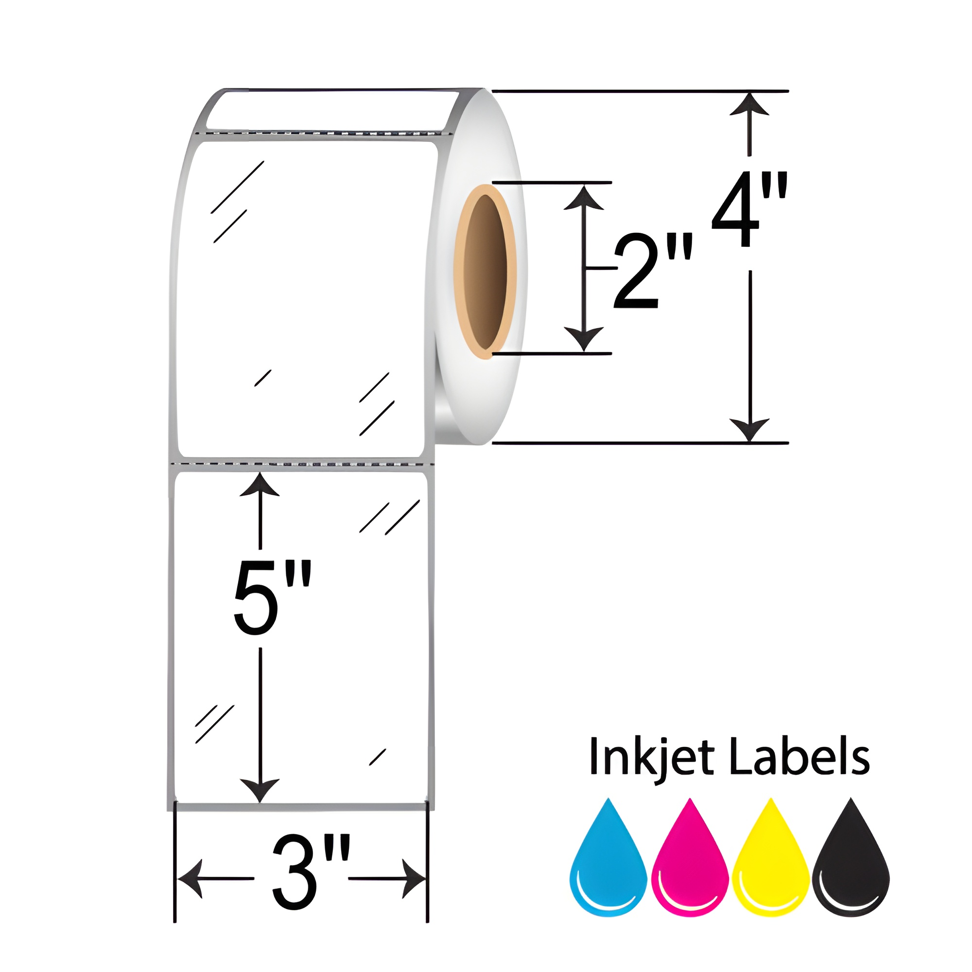 Epson ColorWorks  3x5  Inkjet Label [Perforated] C35GD005