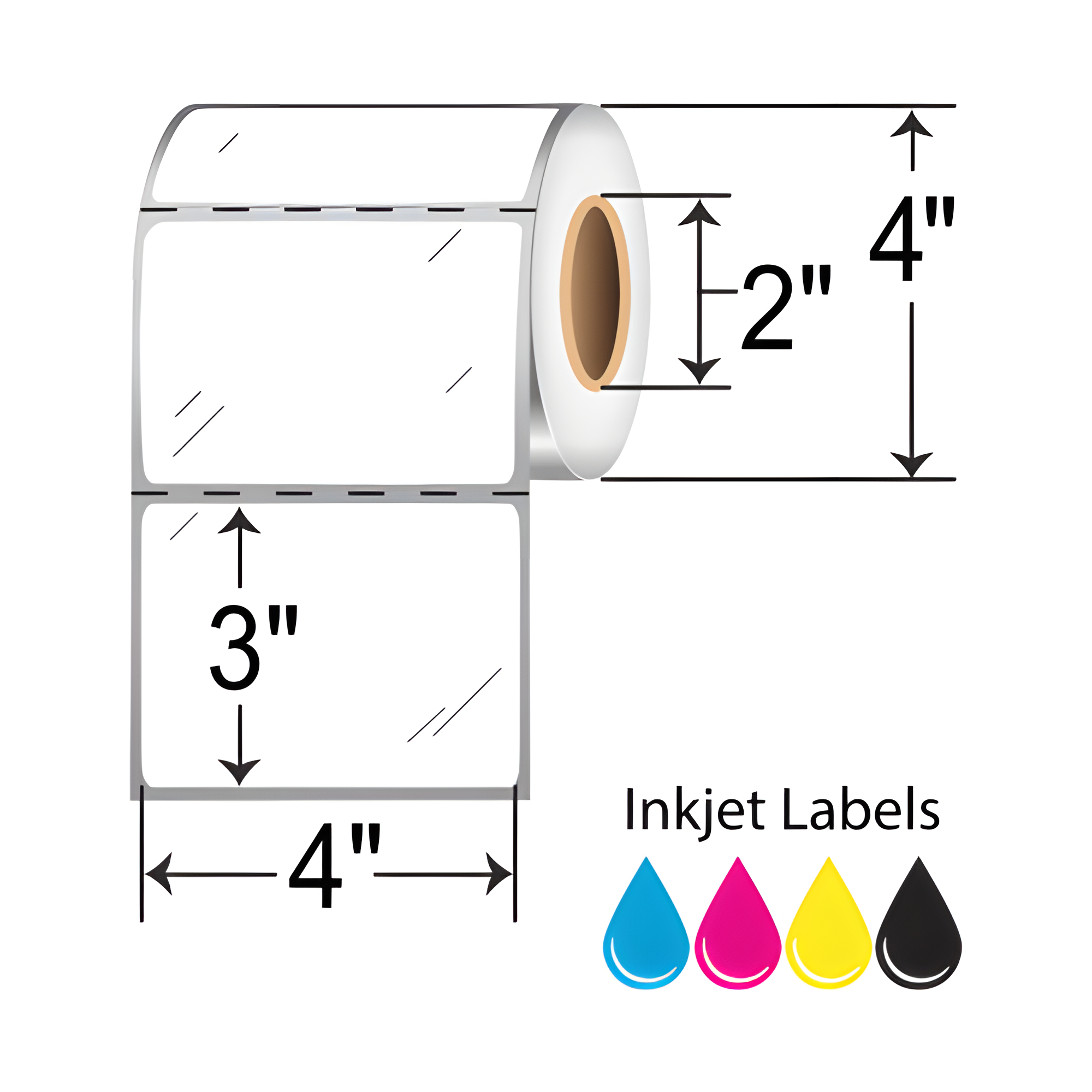 Epson ColorWorks  4x3  Inkjet Label [Perforated] C35GD002