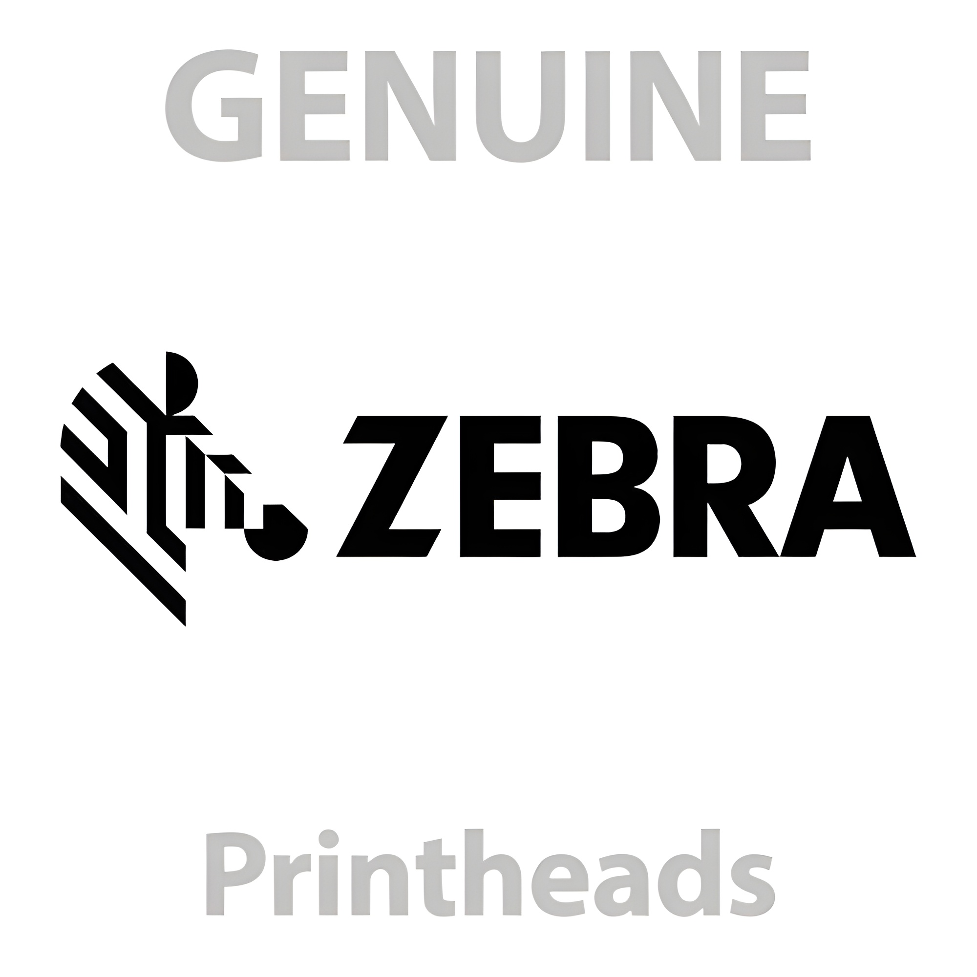 Zebra 203dpi Printhead (ZD420) P1080383-001