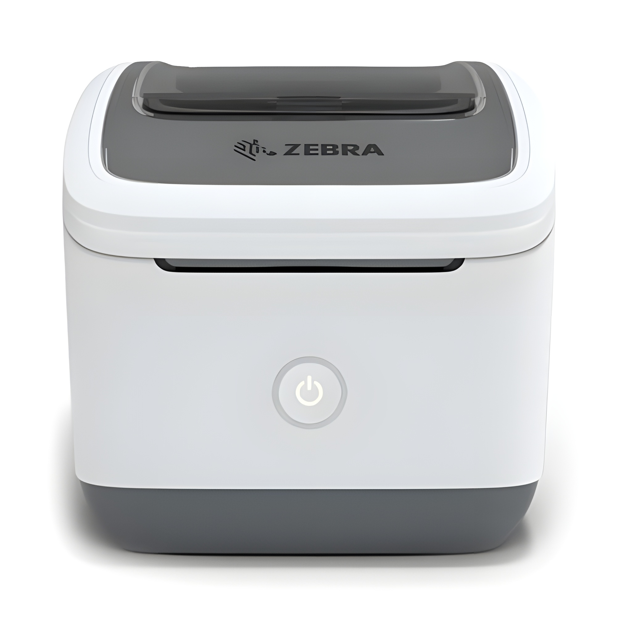 Zebra ZSB Series DT Printer [300dpi, WiFi] ZSB-DP22N