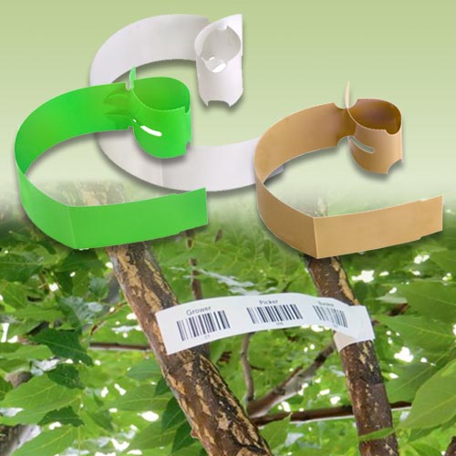 tree wrap tags