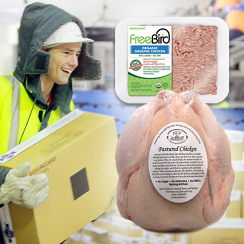 Freezing Cold Materials and Environments