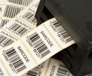 Archival Labels for Historical & Delicate Materials