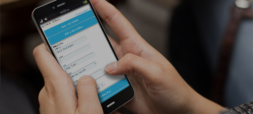 DragonPOS eCommerce and Customer Website