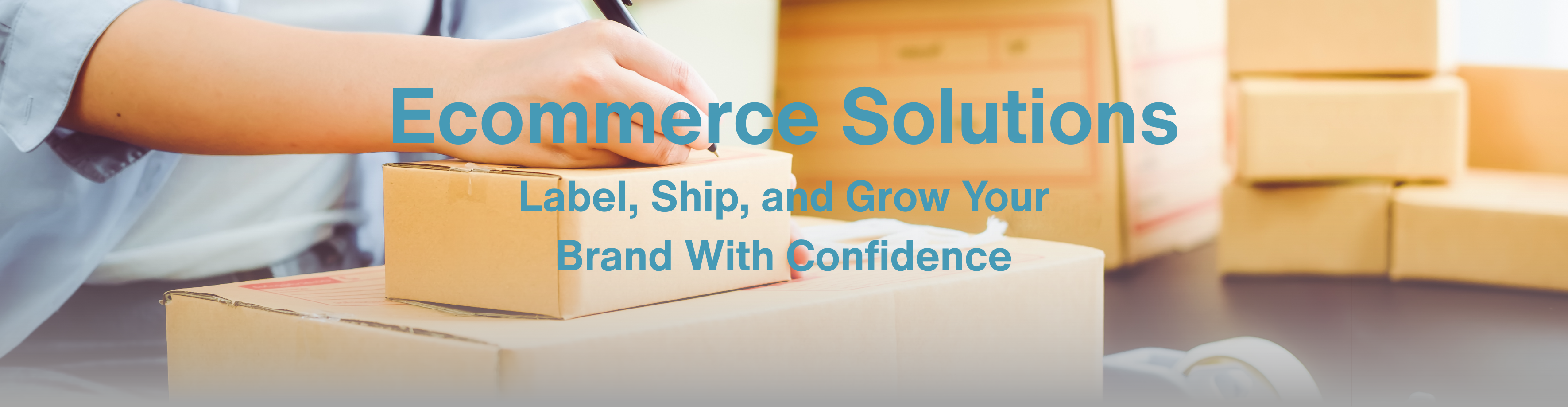 Ecommerce Solutions
