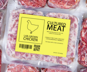 Specialty Adhesives & Face Stock Labels