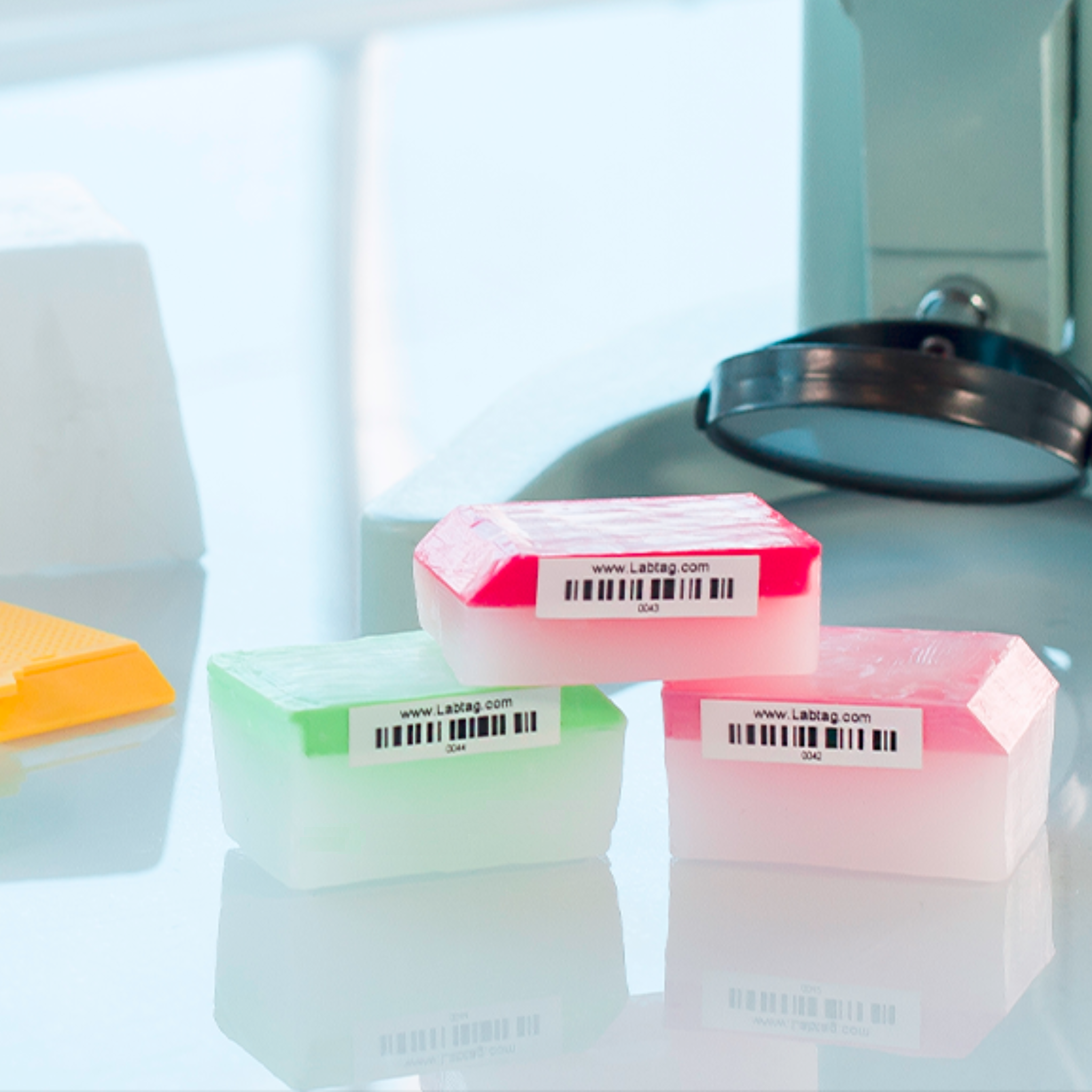 LabTAG Direct Thermal Labels