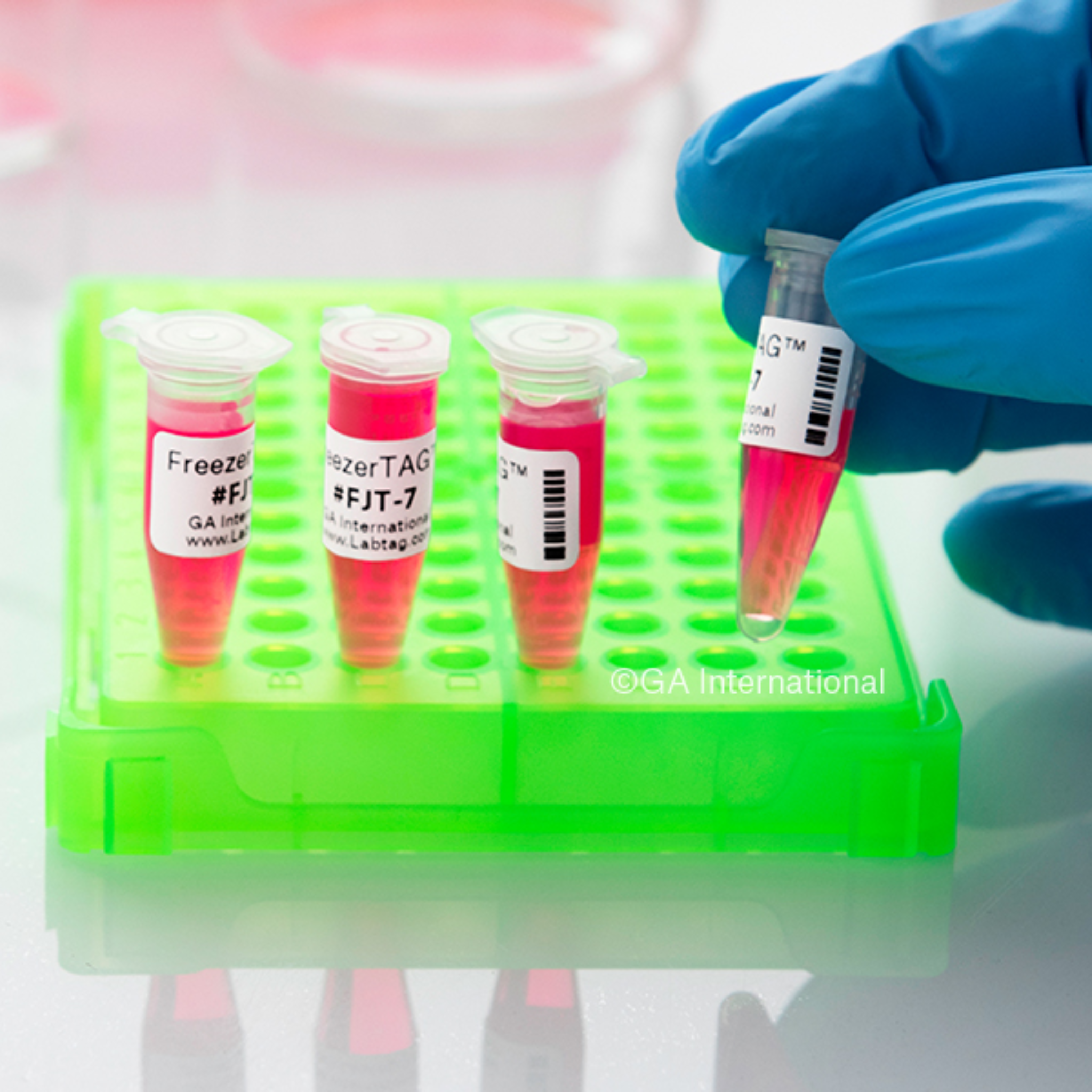 LabTAG Thermal Transfer Labels